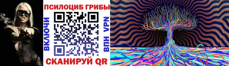 Галлюциногенные грибы MAGIC MUSHROOMS купить наркотики сайты МЕГА зеркало Домодедово