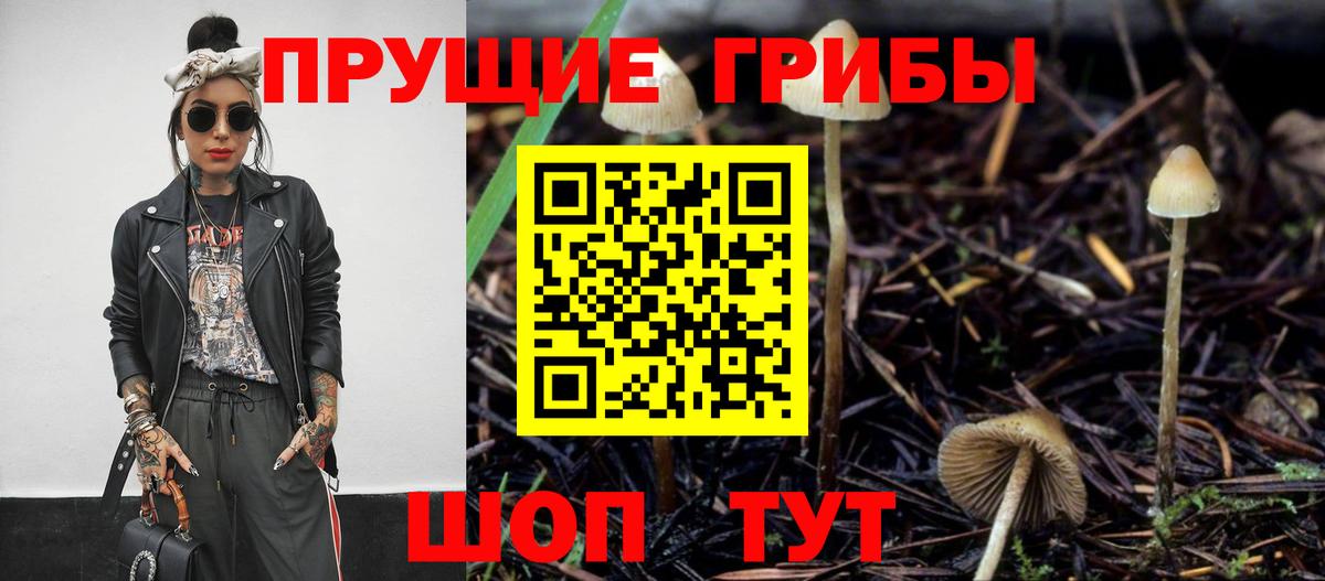 Псилоцибиновые грибы мицелий Домодедово