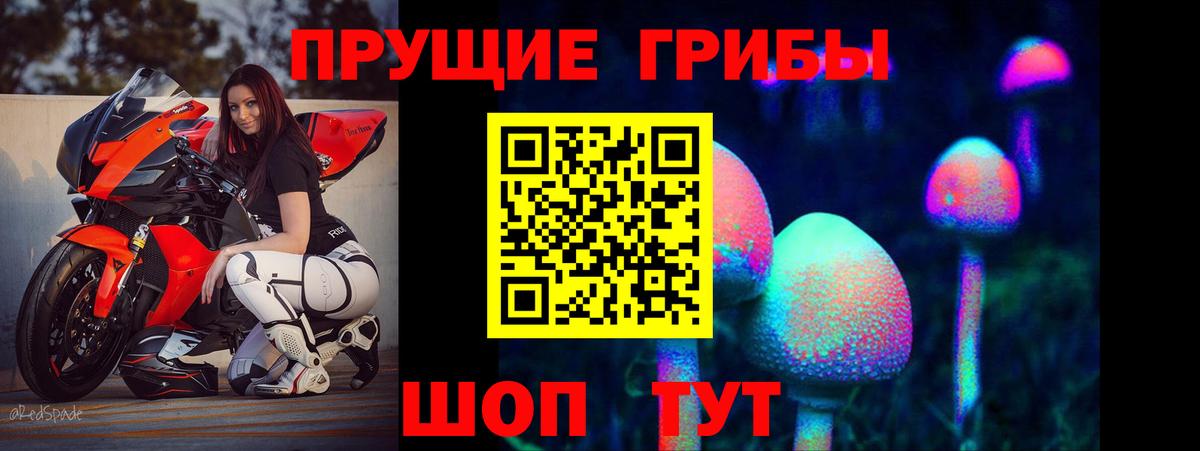 Псилоцибиновые грибы мухоморы  Вход с VPN  магазин  наркотиков  Домодедово 