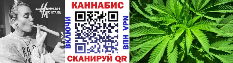 как найти   Домодедово  Бошки Шишки Amnesia 
